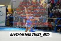 11981_M15-