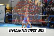 11982_M15-