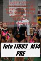 11983_M14-PRE