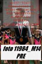 11984_M14-PRE