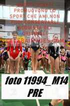 11994_M14-PRE