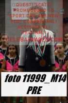 11999_M14-PRE
