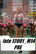 12001_M14-PRE