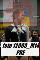 12003_M14-PRE