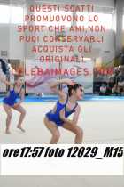 12029_M15-