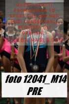 12041_M14-PRE