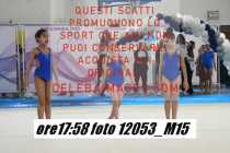 12053_M15-