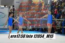 12054_M15-