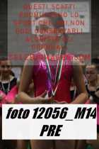 12056_M14-PRE