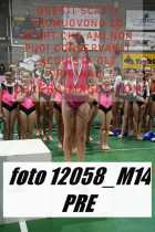 12058_M14-PRE