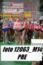 12063_M14-PRE
