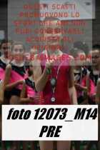 12073_M14-PRE