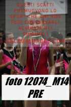 12074_M14-PRE