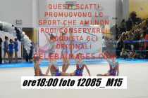 12085_M15-