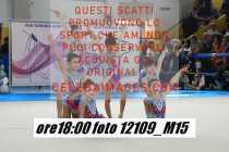 12109_M15-