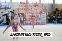 12134_M15-