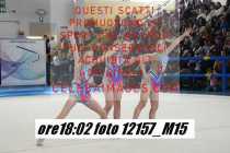 12157_M15-