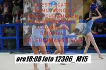 12306_M15-