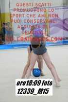 12339_M15-