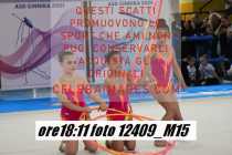 12409_M15-