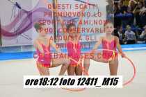 12411_M15-