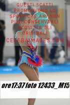 12433_M15-