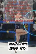 12496_M15-