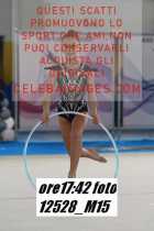 12528_M15-