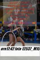 12537_M15-