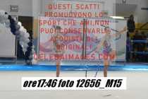12656_M15-