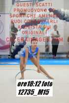 12735_M15-