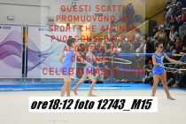 12743_M15-