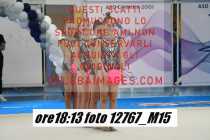 12767_M15-
