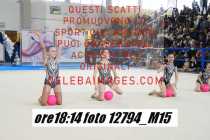 12794_M15-
