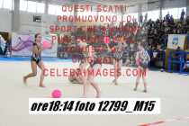 12799_M15-