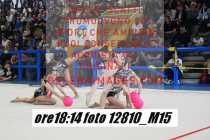 12810_M15-