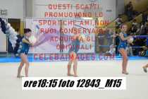 12843_M15-