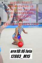 12883_M15-