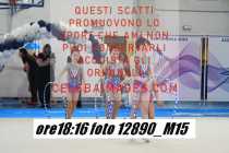 12890_M15-