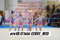 12891_M15-