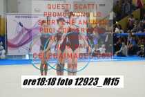 12923_M15-