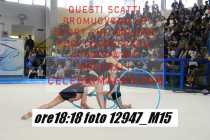 12947_M15-