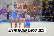12954_M15-
