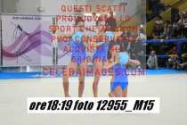 12955_M15-