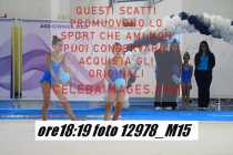 12978_M15-
