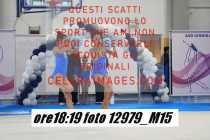 12979_M15-