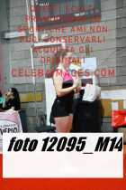 12095_M14-