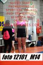 12101_M14-