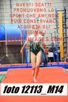 12113_M14-