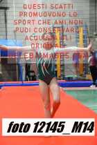 12145_M14-